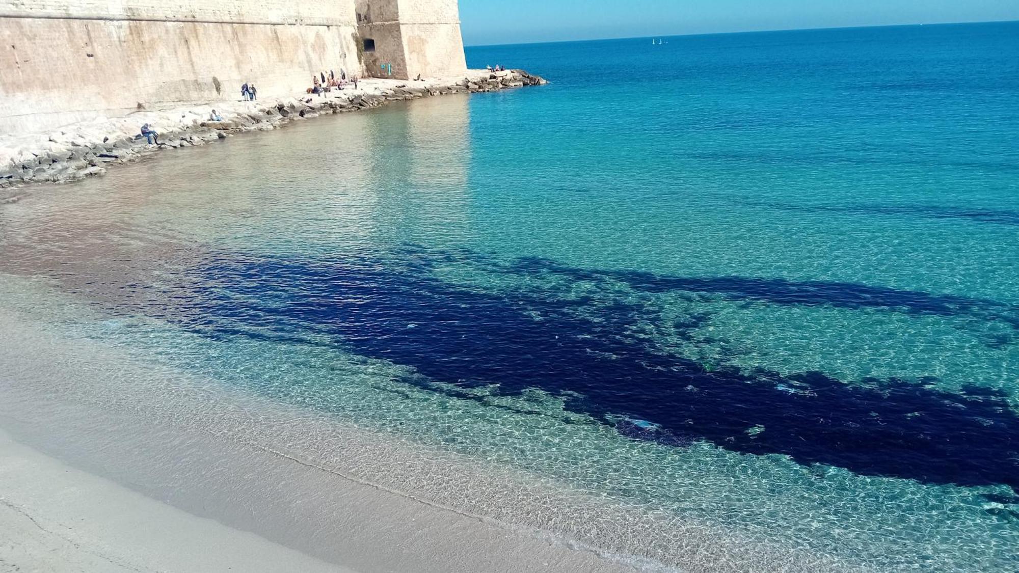 Che Bella Vita! Διαμέρισμα Monopoli Εξωτερικό φωτογραφία